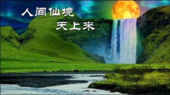 日常蔬菜你认识多少?
